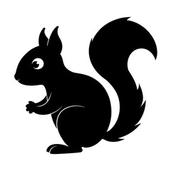 Squirrel on white background