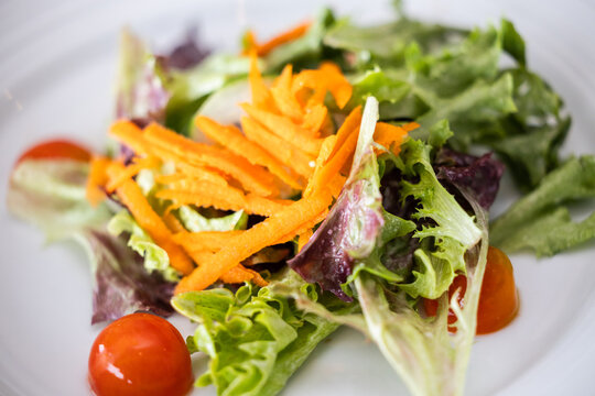 Fresh Garden Salad with Cherry Tomatoes and Carrot Shreds on White Plate