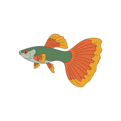 Colorful Cartoon Betta Fish Illustration