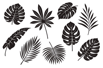Black palm leaves vector illustration tropical leaf design art