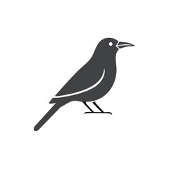 Obraz premium Simple gray bird illustration on black background standing bird vector for design graphic asset animal icon birdwatcher or ornithology