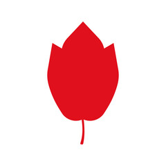 Obraz premium 紅葉したモミジのベクターイラスト_04