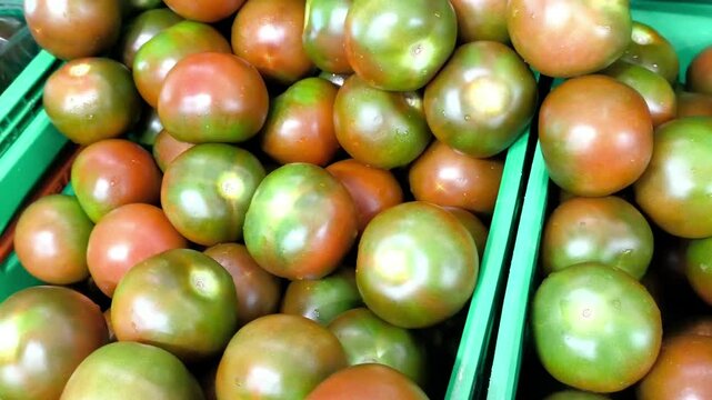 Tomate negro o tomaco