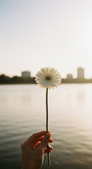 Serene Bloom by the Lake: A delicate hand delicately holds a pristine daisy, its petals gleaming in the soft light, with the tranquil water and cityscape as the backdrop. 