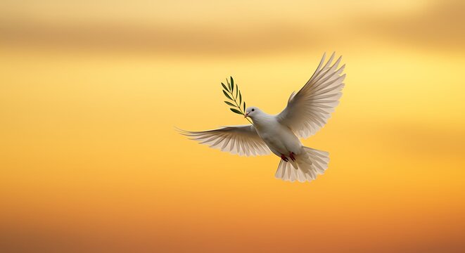 A dove carrying an olive branch soaring through the sky. 