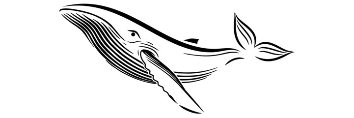 line art illustratiom background blue whale
