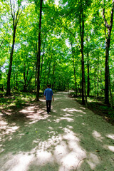 Trail, Charleston Falls Preserve, Tipp City, Ohio