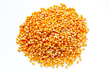 Yellow raw unpopped popcorn kernels