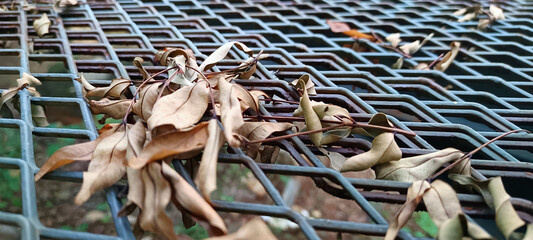 Dry leaves fall on iron wire