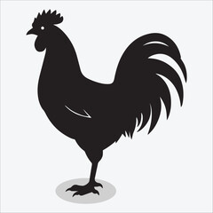 Rooster silhouette vector isolated on white background 