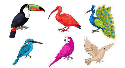 Naklejka premium Vector explore vibrant bird species illustration featuring toucan ibis peacock kingfisher parrot and dove artwork design