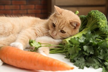Cat and different vegetables on white table indoors. Pet's balanced diet