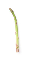 One fresh raw asparagus spear isolated on white, top view