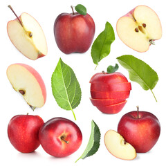Fresh red apple fruits and green leaves isolated on white, collage