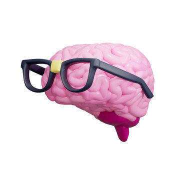 Smart Brain  3D