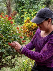 Woman Pruning Plants in a Tropical Garden, hands