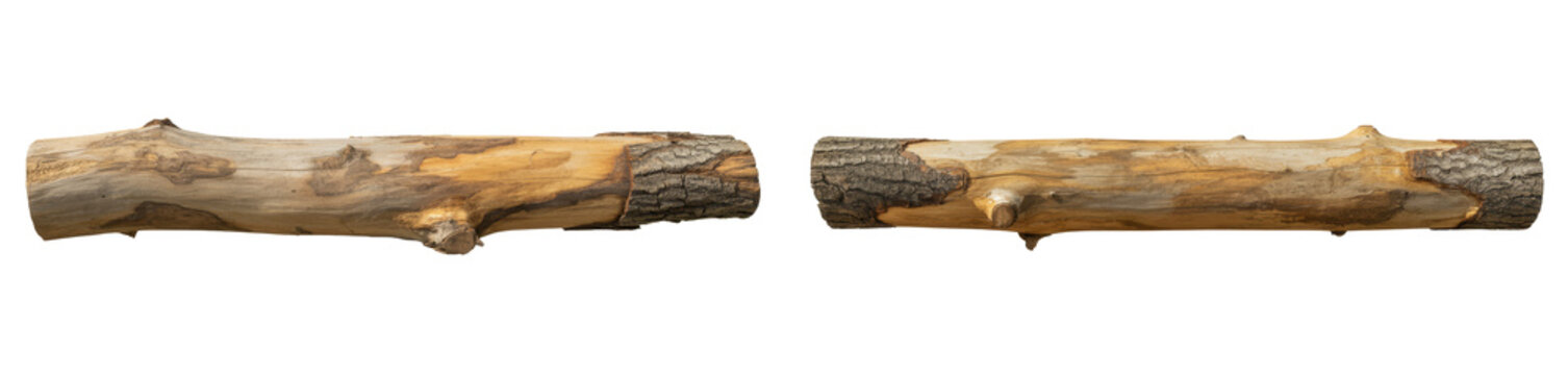  weathered wooden log isolated