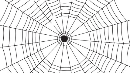 Obraz premium Spider Web with Concentric Circles