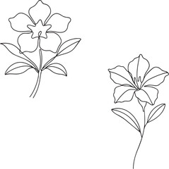 Two simple line art drawings of flowers. 