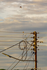 electricity post with many wires in the evening, beautiful photo digital picture