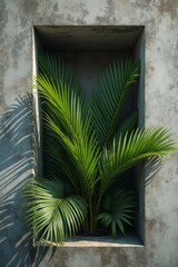 Lush green palms emerging from a textured wall display in natural light