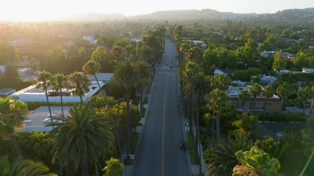 Forward aerial flight over palm lined street in Beverly Hills at golden hour