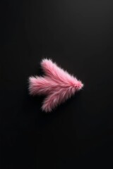 Soft pink feather adornment on a dark surface highlights decorative elegance