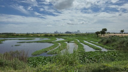 Outskirts of Phnom Penh, Cambodia – 25 June 2025. Green wetlands with water channels stretch...