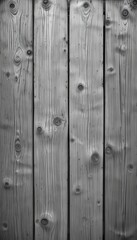 Fototapeta premium Weathered Cedar Wood Panels in Silvery Gray Finish for Text Design and Background Use