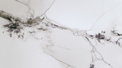 Abstract White Marble Texture with Gray Veins for Interior Design and Surfaces