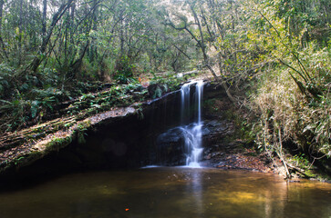 waterfall in the forest