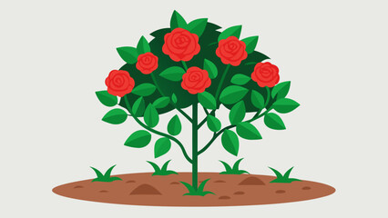 Vibrant Red Roses Bush A Stunning Floral Illustration