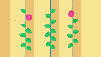 Climbing Plant Growth Stages From Seedling to Blooming Flower