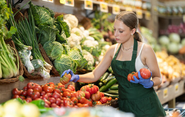 Supermarket employee carefully places ripe tomatoes on shelves of a grocery supermarket