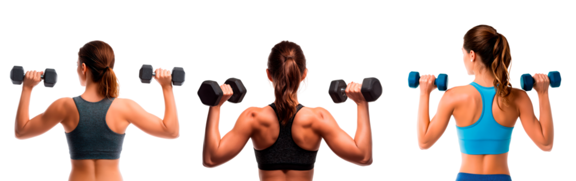 Women exercising with dumbbells for fitness and strength training on transparent background, PNG - Powered by Adobe