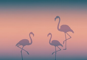 two flamingos in the sunset