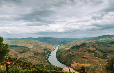 Douro River meandering through a picturesque valley covered in vineyards in Alijo, Vila Real, Portugal, under a cloudy sky, creating a serene landscape typical of the Douro wine region