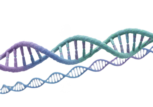 3D Rendering of Double Helix DNA Structure Transparent Background