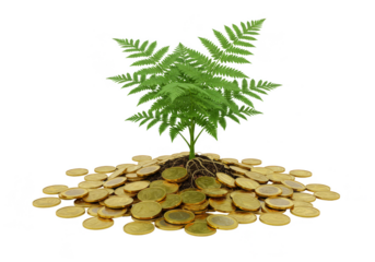 3D Rendering of Money Tree Growth Investment Finance Success