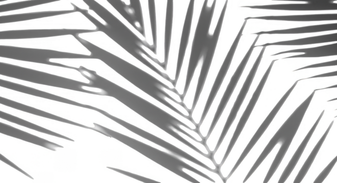 Abstract Foliage Illustration Botanical Tropical Background With Exotic Flora