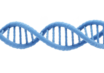 Blue Helix DNA Molecule Genetic Science Biotechnology Transparent Illustration