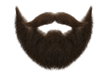 Brown Beard Facial Hair Isolated Man Face Illustration Transparent
