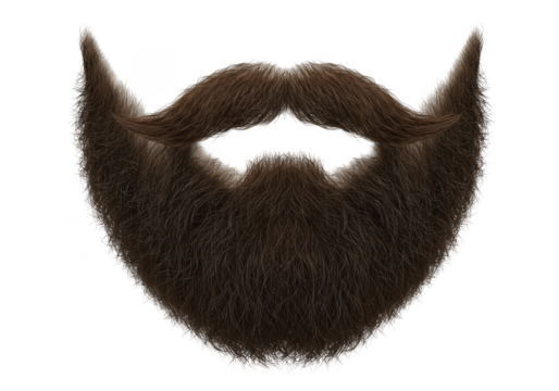 Brown Beard Facial Hair Isolated Man Face Illustration Transparent
