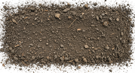 Background Texture of Fertile Dirt Soil Earth Ground Natural Organic
