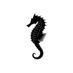 Seahorse Vector