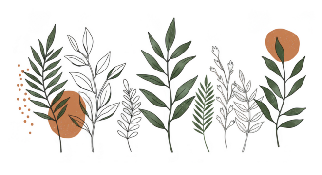 Botanical Foliage Watercolor Illustration Leaves Nature Transparent Background