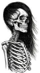 Detailed Skeleton Illustration Human Anatomy Skull Bone Death Medical