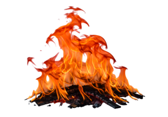 Fiery Flames Burning Orange and Red over Wood Logs on Black