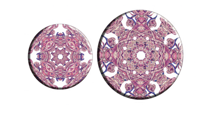 Floral Ornamental Pattern Abstract Circles Design Isolated Background