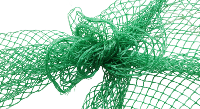 Festive Green Bow Transparent Background Christmas Celebration Gift